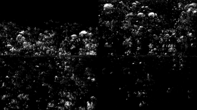 4K_水泡水花转场气泡上升_带通道