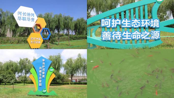 4k 生态环境 环境保护标语