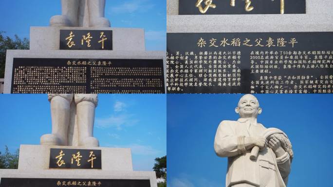 水稻之父袁隆平雕像