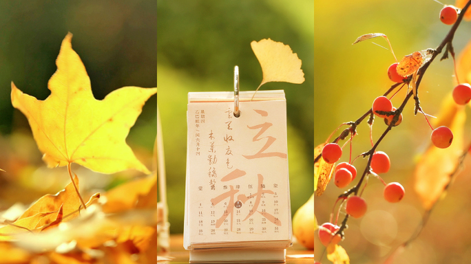 立秋 立秋节气 竖版
