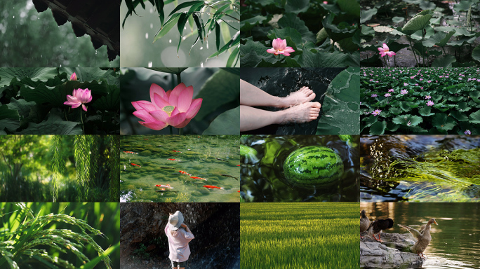 立秋 立秋节气 唯美夏天清新自然治愈风景