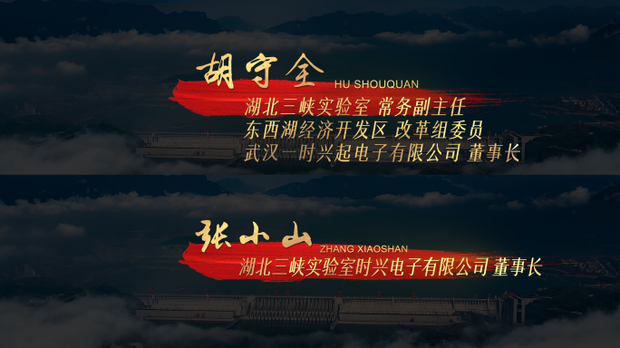 4K红底金字 党政党建人名字幕条
