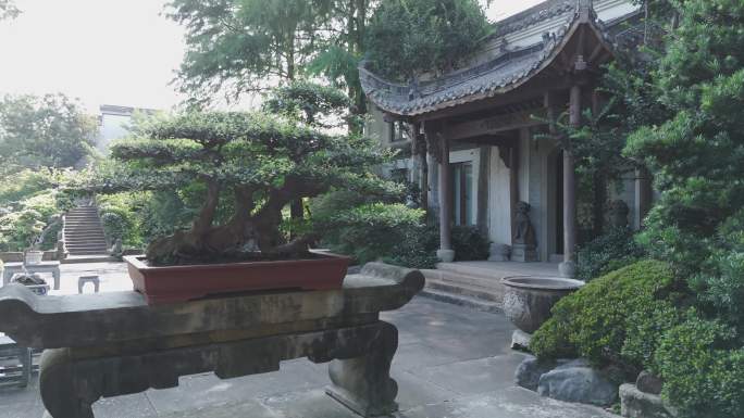 古风园林盆栽小景