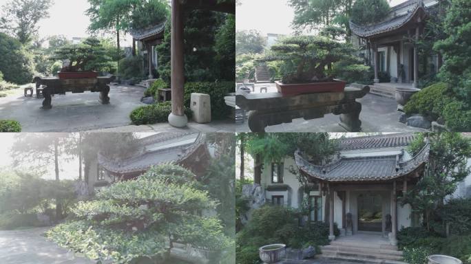 古风园林盆栽小景