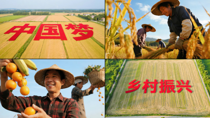中国梦乡村振兴农业秋收农民