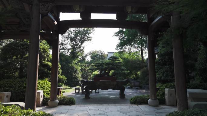 古风园林盆栽小景