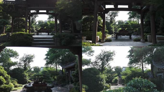 古风园林盆栽小景