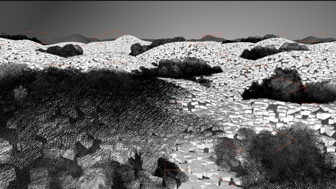 C4D模型热带雨林树林森林