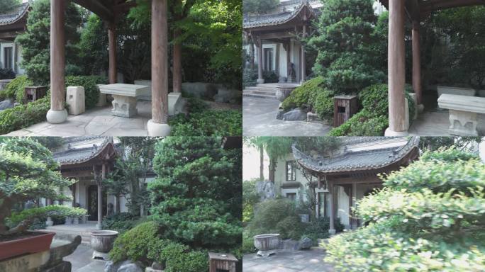 古风园林盆栽小景