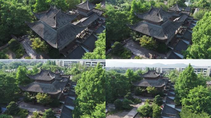 古风园林盆栽小景