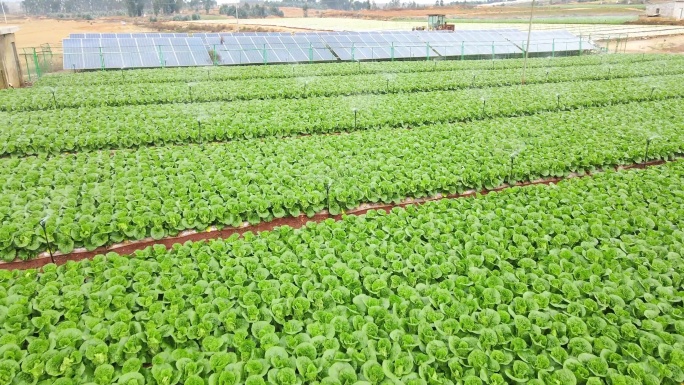 农业灌溉：田园与光伏的绿色共生图景