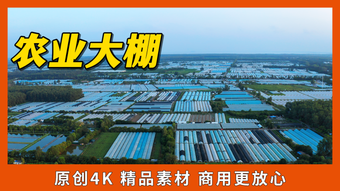 合肥大圩葡萄园蔬菜大棚农业