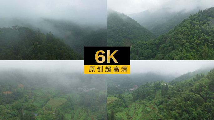 6K60帧——雾气缭绕大山深处的瀑布溪流
