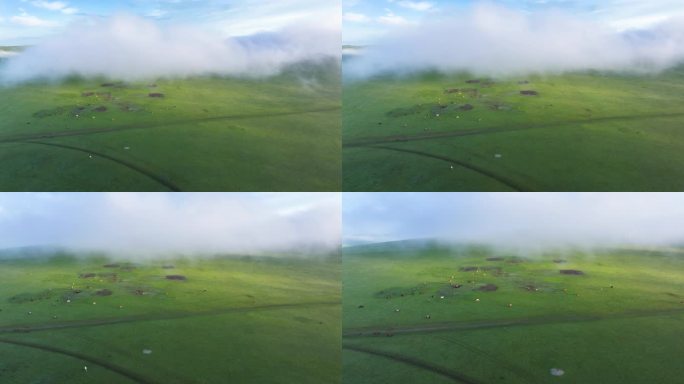 天下第一曲水 莫尔格勒河晨雾下的马群