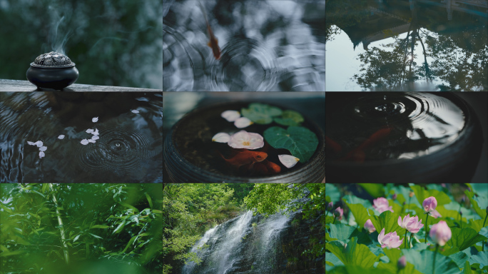 禅意 禅意意境 古风空镜 大自然禅意空镜