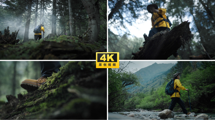 森林爬山登山攀登徒步感受自然原始森林山林