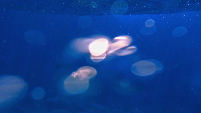 海岛潜水探险之旅