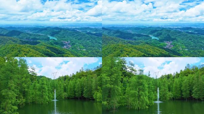 广州帽峰山