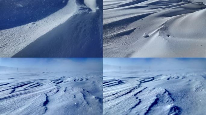 新疆冬季风吹雪实拍