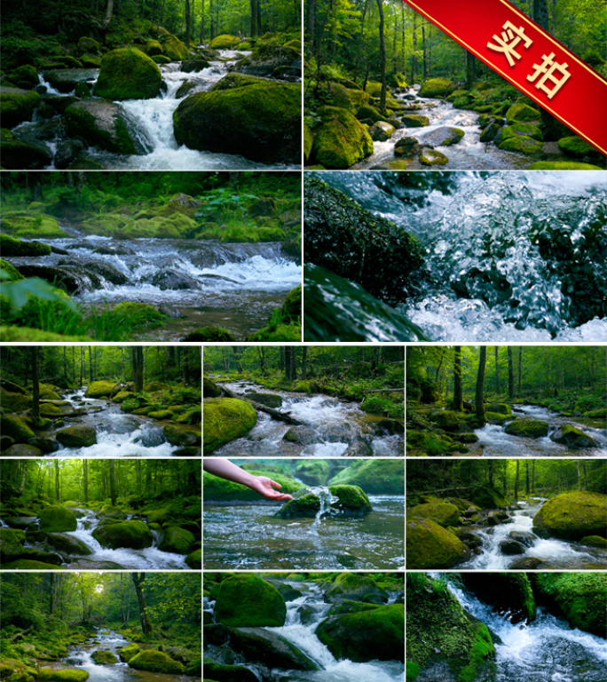 水溪流山泉河流自然森林流水瀑布青苔酿酒