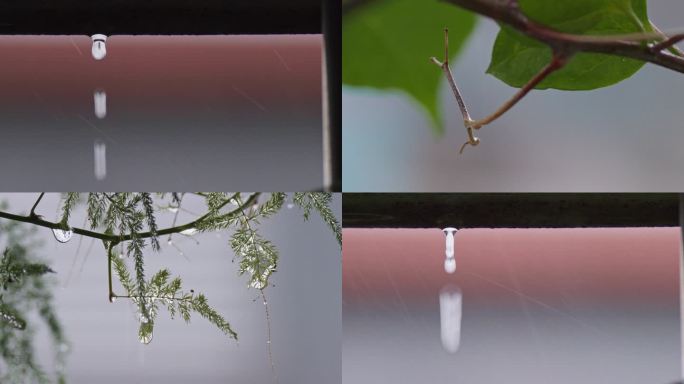 密密匝匝的雨下了整整3天，到处都泡涨了！