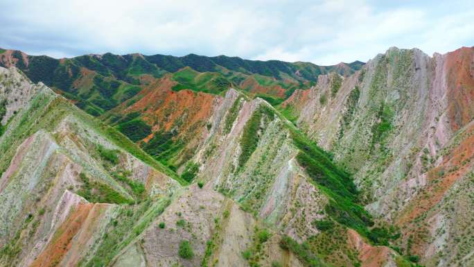 国画山