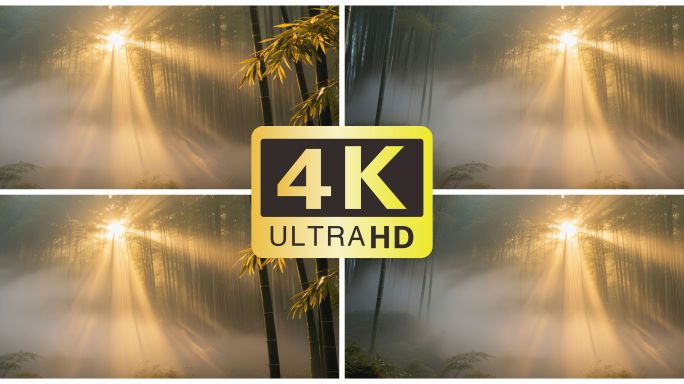 【4K宽屏竹林舞台背景】竹林梦幻光影唯美