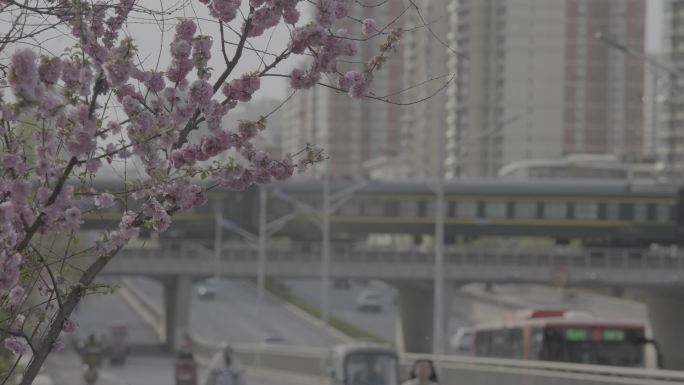春天的列车