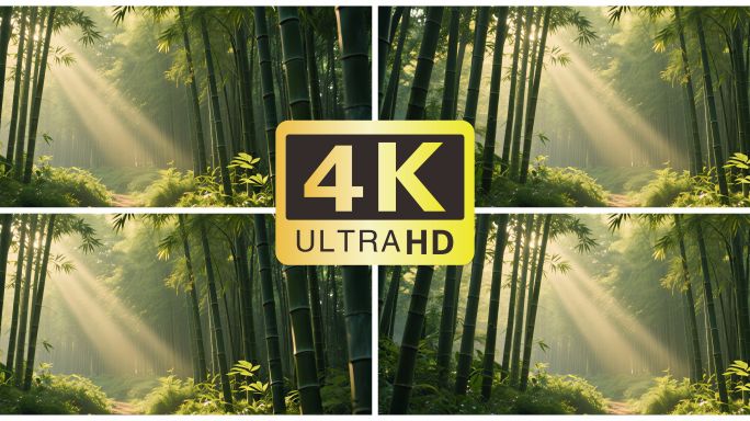 【4K宽屏竹林舞台背景】竹林梦幻光影唯美