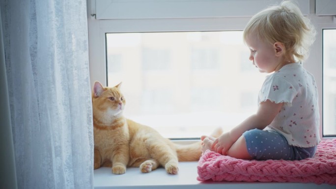幼儿在阳光明媚的窗台上与友好的猫咪互动。