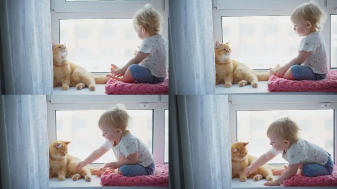 幼儿在阳光明媚的窗台上与友好的猫咪互动。