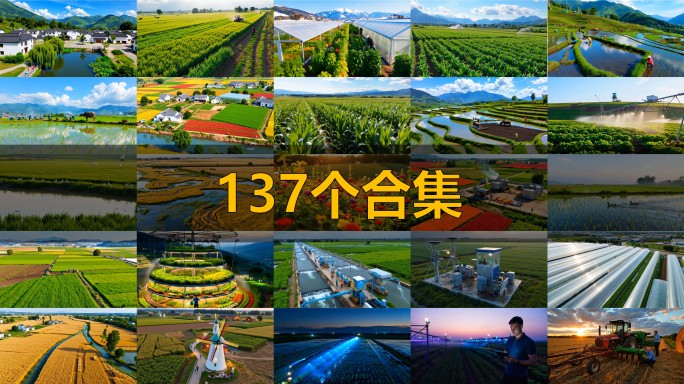 农业农村水稻乡村振兴农业风景丰收粮食乡村