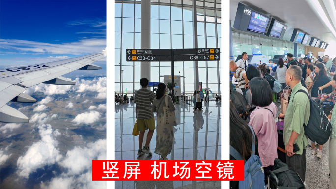 竖屏实拍机场空镜素材 旅客机场安检排队