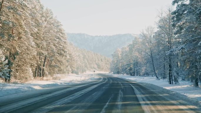 在壮丽的山脉风景中，踏上迷人的冬季公路旅行，穿越被雪覆盖的松树林。