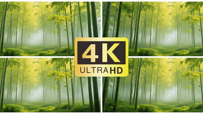 【4K宽屏竹林舞台背景】竹林梦幻光影唯美