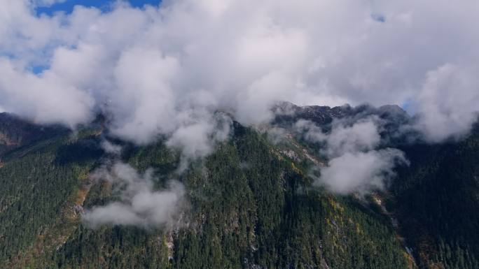 云雾缭绕山川河流帕隆藏布江易贡大峡谷