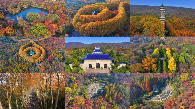 南京紫金山中山陵秋景合集