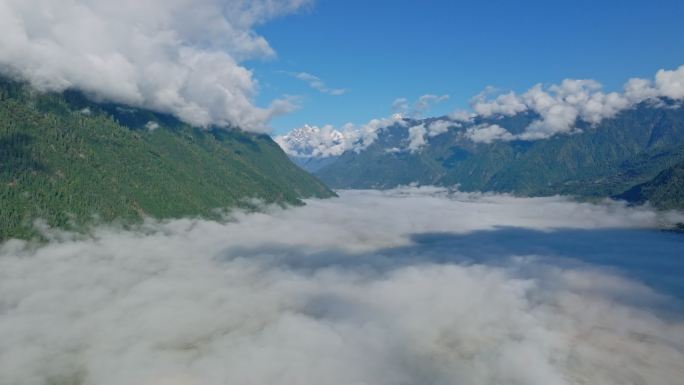 云雾缭绕山川河流帕隆藏布江易贡大峡谷