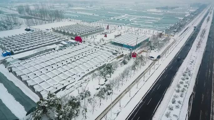 航拍安徽合肥暴雪草莓塑料大棚雪灾