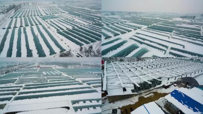 航拍安徽合肥暴雪草莓塑料大棚雪灾
