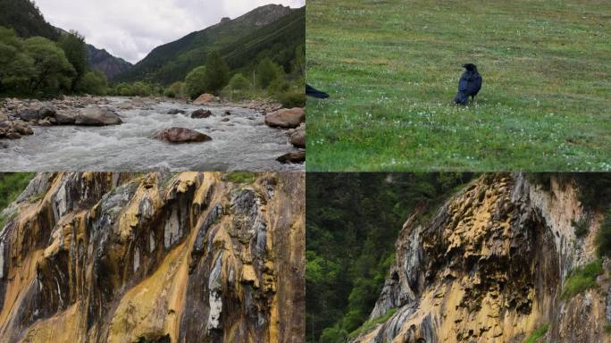 地质奇观与自然风光山间溪流与乌鸦栖息地