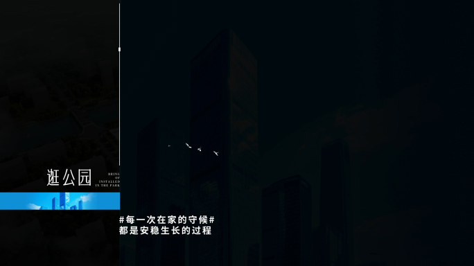 简约字幕 简洁字幕 地产字幕 意境字幕