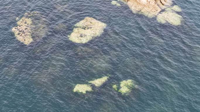 海岸礁石群鸟瞰