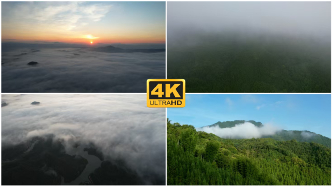 云海日出森林穿梭 龙门县