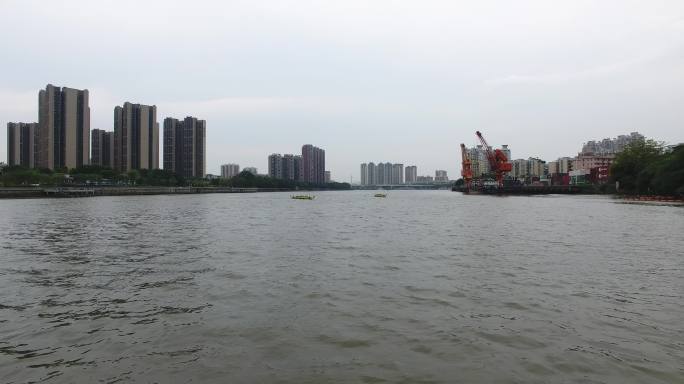 珠江龙舟竞渡