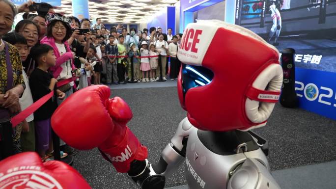 2025世界机器人大会
