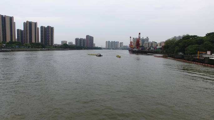 珠江龙舟竞渡