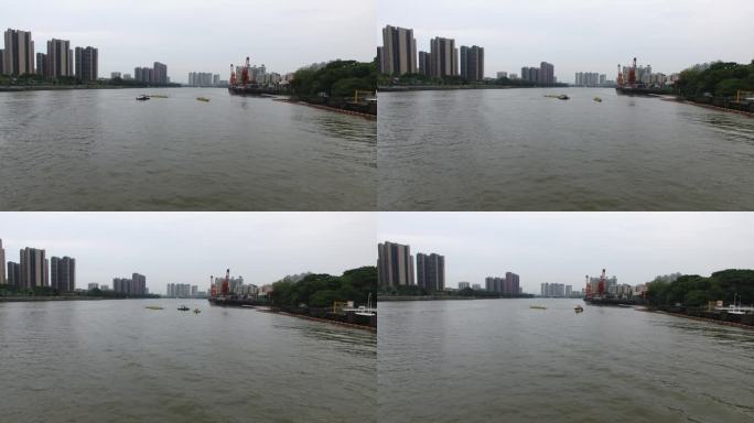 珠江龙舟竞渡