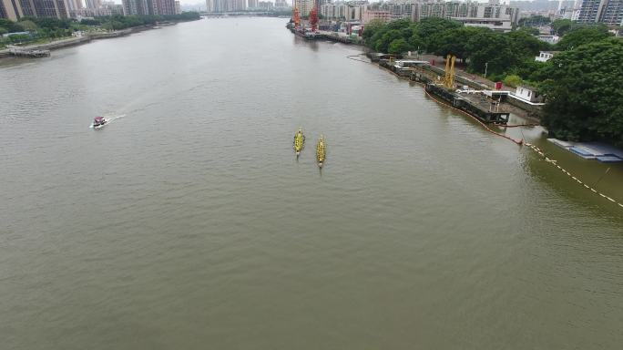 珠江龙舟竞渡