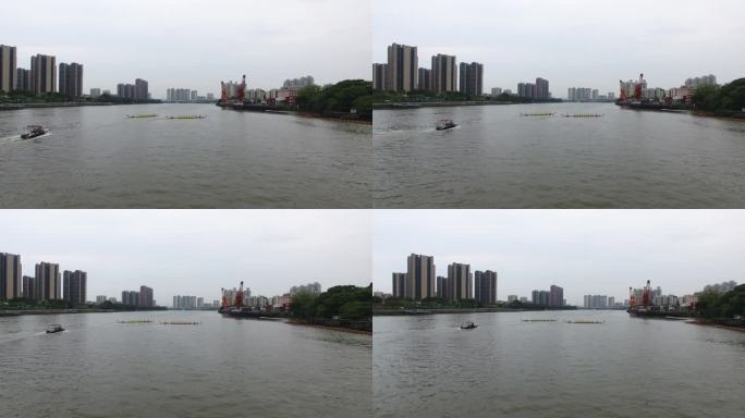珠江龙舟竞渡